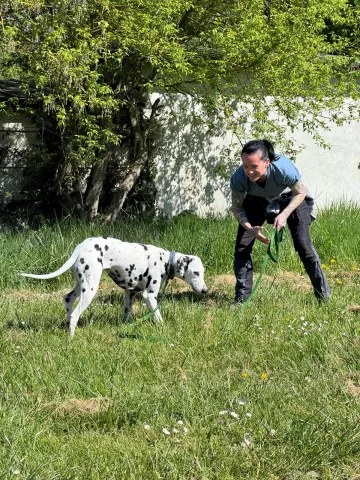 Cours d'éducation pour Volta