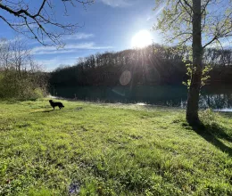 Ballade en nature