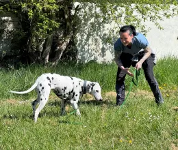 Cours d'éducation pour Volta